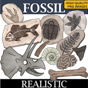 Fossilien Clip Art