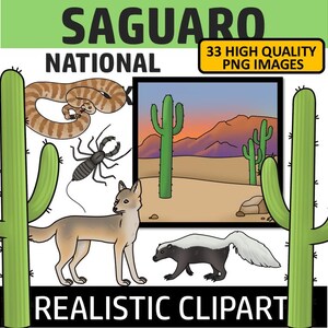 Saguaro National Park Clip Art