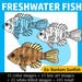 Freshwater Fish Clip Art (freshwater Fish of North America Clipart) - Etsy