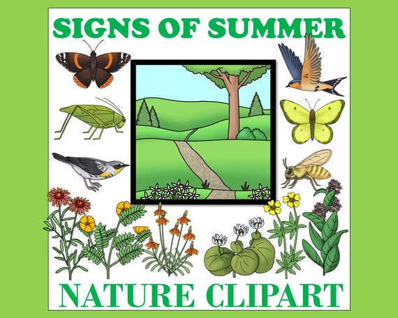 Summer Downloadable Clipart Images - Etsy Australia