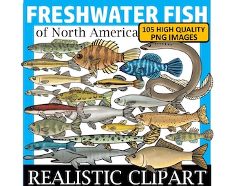 Freshwater Fish Clip Art (Freshwater Fish of North America Clipart)
