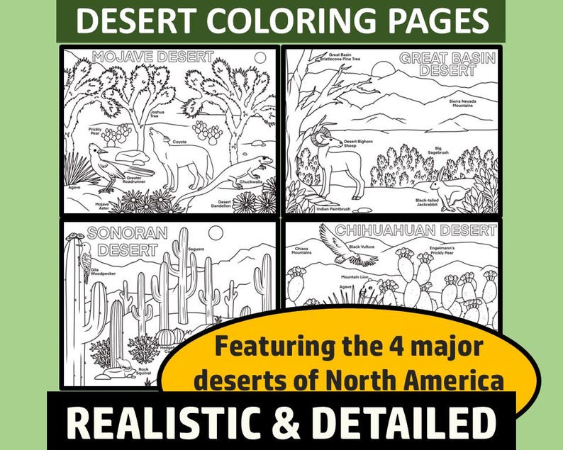 Desert Coloring Pages (digital Download) - Etsy