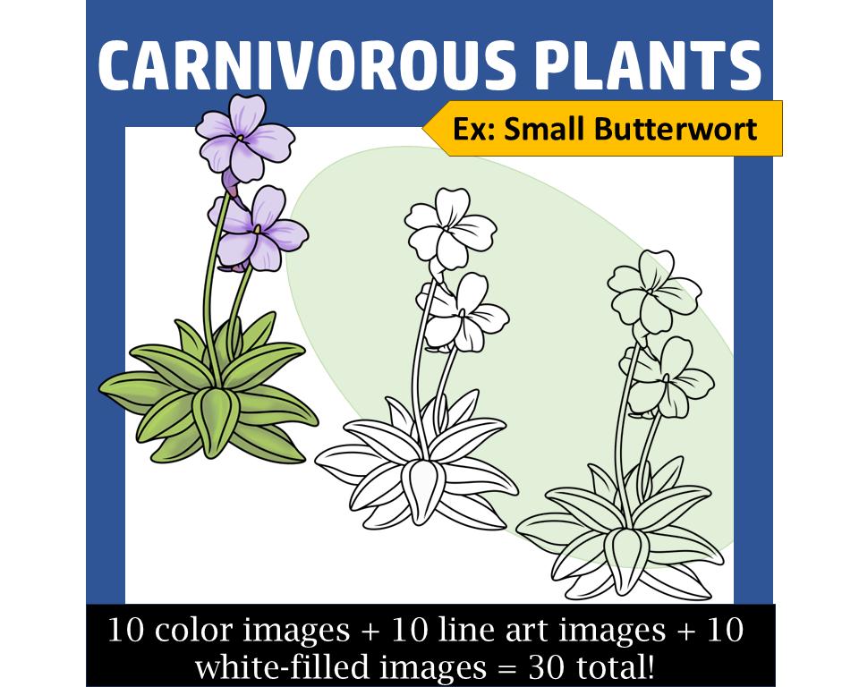 Carnivorous Plants Clip Art - Etsy