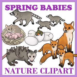 Imágenes prediseñadas de bebés de primavera