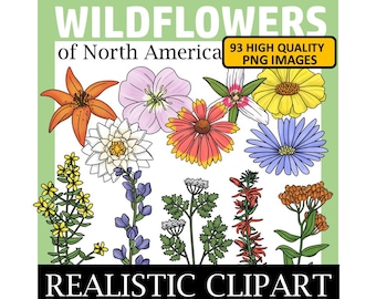 Wildflower Clip Art (Wildflowers of North America Clipart)