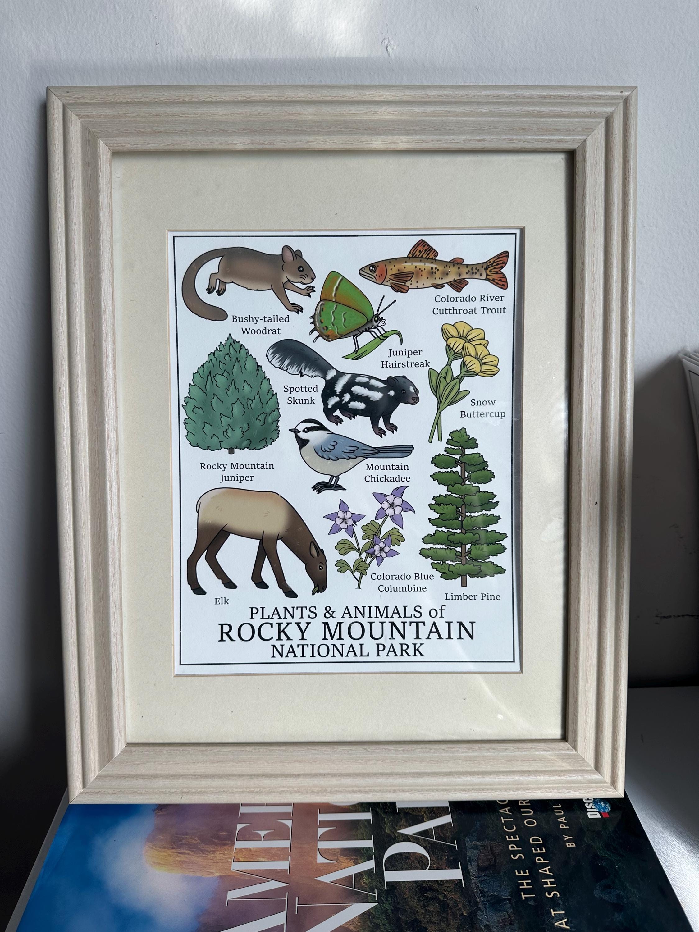 Rocky Mountain National Park Print (8x10) - Etsy