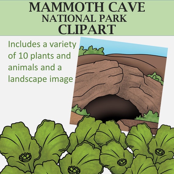 Plants and Animals of Mammoth Cave National Park Clipart - Etsy Plants and Animals of Mammoth Cave National Park Clipart - Etsy