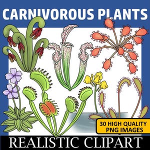 Carnivorous Plants Clip Art