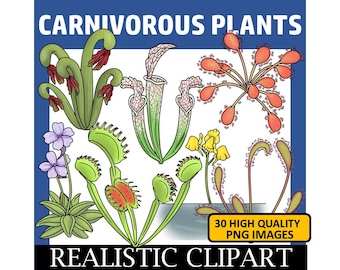 Carnivorous Plants Clip Art