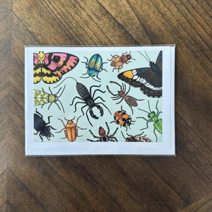 Bug Friends Greeting Card