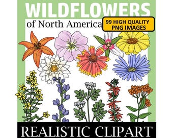 Wildflower Clip Art (Wildflowers of North America Clipart)