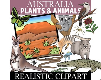 Australian Clip Art - Plants and Animals of Australia Clipart