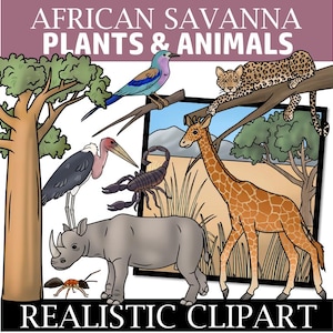 Plants and Animals of the African Savanna Clipart