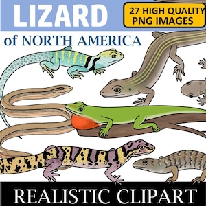 Lizard Clip Art (Reptile Clipart)