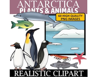 Antarctica Clip Art (Plants and Animals of Antarctica Clip Art)