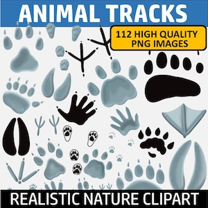 Animal Tracks Clip Art (Paw Prints and Snow Prints)