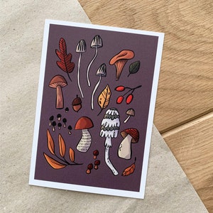 Cartes postales Champignons | Motif automne | amoureux de la nature
