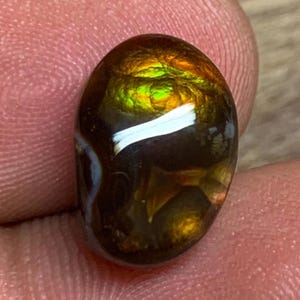 May include: Oval-shaped gemstone with a polished surface. The stone features a mix of colors, including brown, gold, and green, with a white streak across the top. The gemstone is held between fingers, showcasing its size and detail.