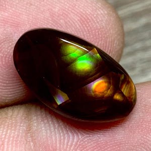 May include: A polished, oval-shaped gemstone with a dark brown base color. The stone displays internal iridescence with flashes of green, orange, and purple. The gem is held between fingers, showcasing its vibrant colors and reflective qualities.