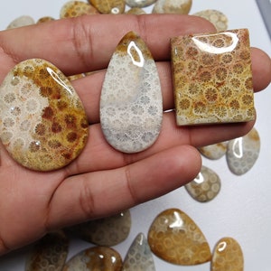 May include: Assortment of fossilized coral cabochons in various shapes and sizes. The cabochons are a mix of white, brown, and orange colours with a swirling pattern.