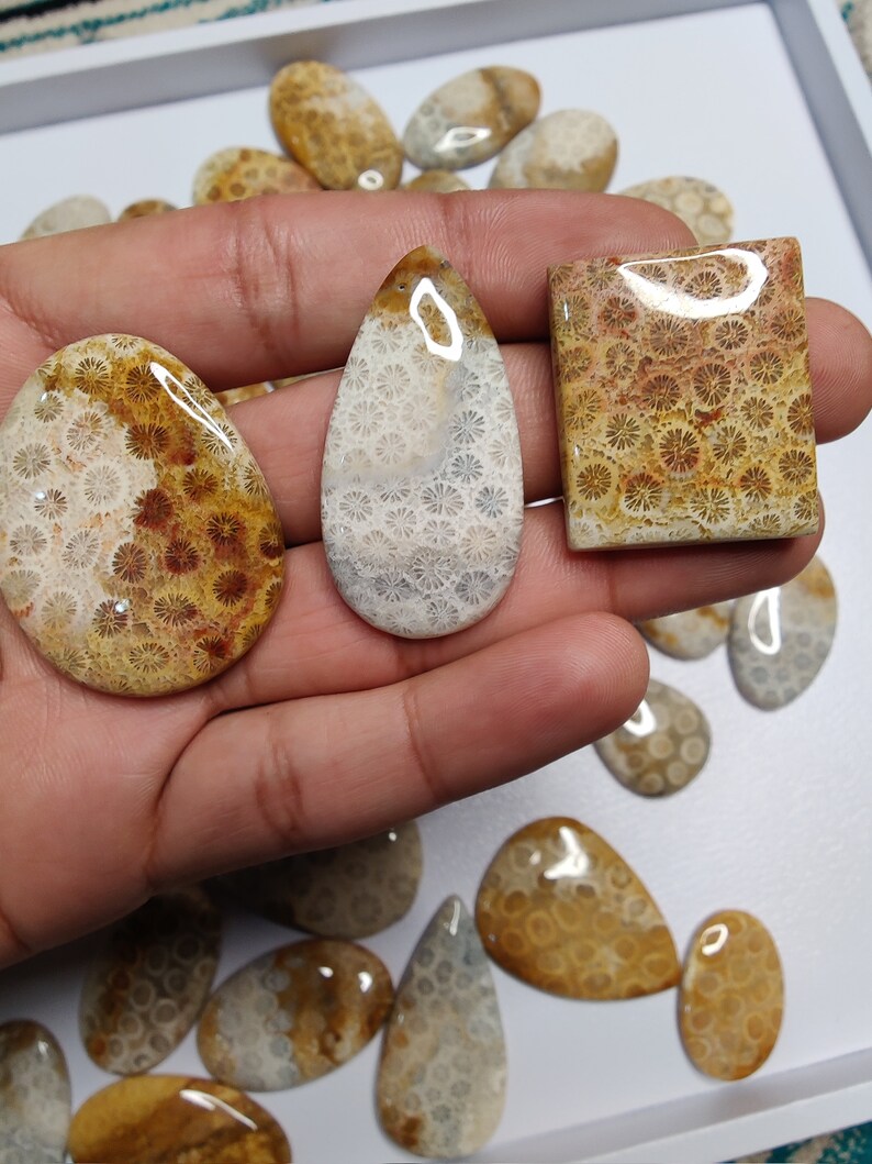 May include: Assortment of fossilized coral cabochons in various shapes and sizes. The cabochons are a mix of white, brown, and orange colours with a swirling pattern.