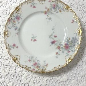 Antique Theodore Haviland Limoges, France Porcelain China Plates, Set of Five