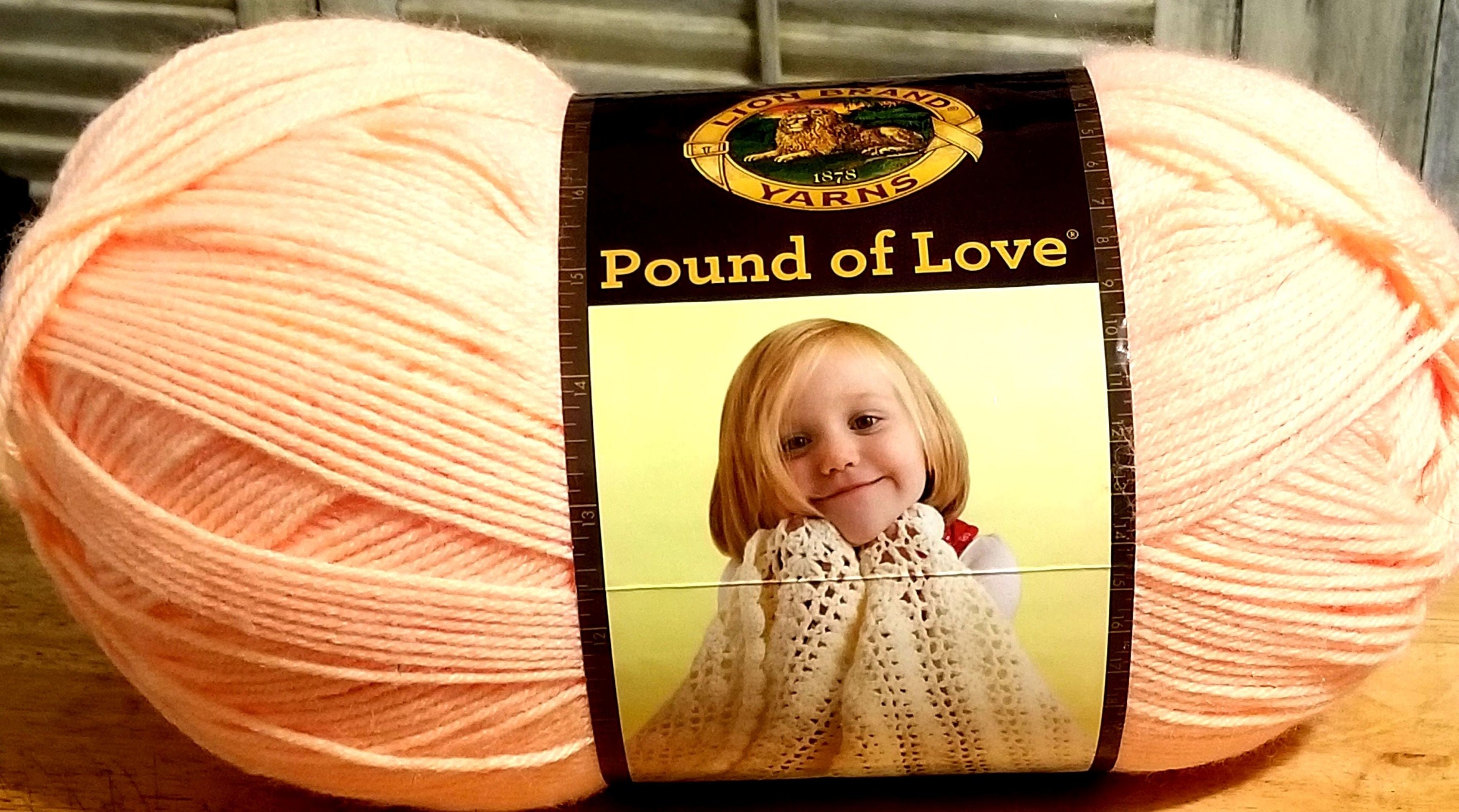 Lion Brand Yarn Pound of Love Yarn, Pastel Pink 16 oz. 1020 Yards
