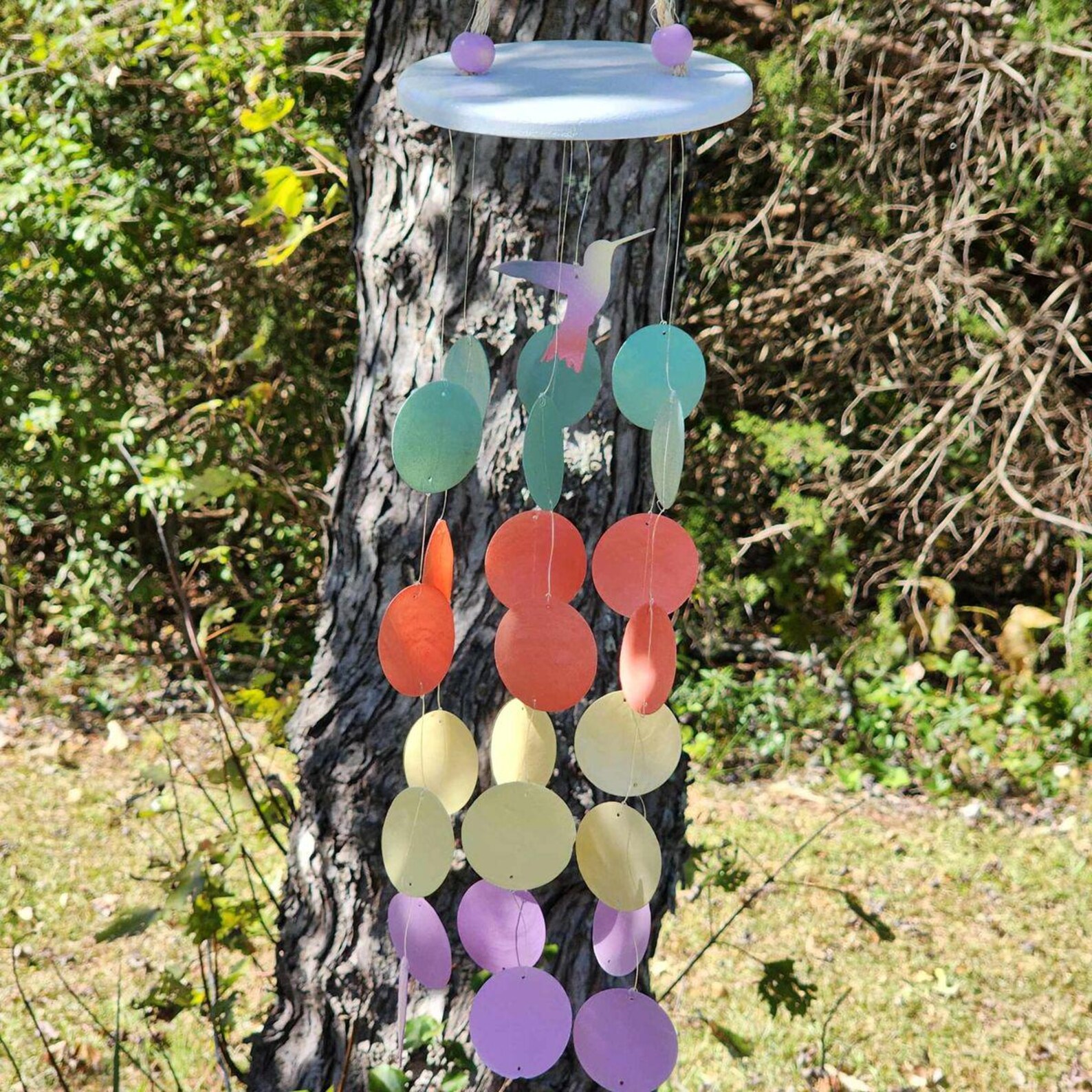 Humming Bird Capiz Shell Wind Chime - Etsy