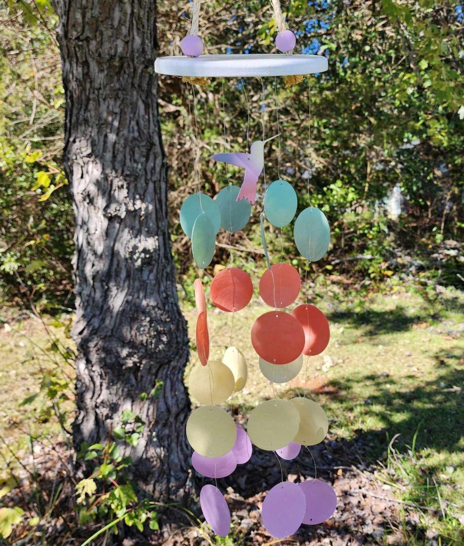Humming Bird Capiz Shell Wind Chime - Etsy