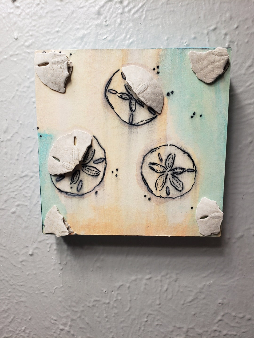 Beach Decor Sand Dollar Art Beach Wall Decor Bathroom Decor Etsy