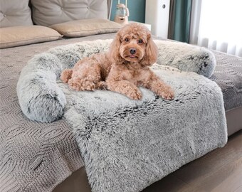 dog couch blanket