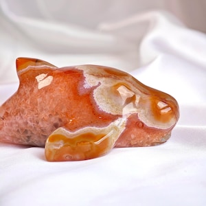 STUNNING High Quality Carnelian Beluga Whale Crystal Carving | Hand-Carved Exclusive Crystal Statement Piece - Red Agate Crystal Decor