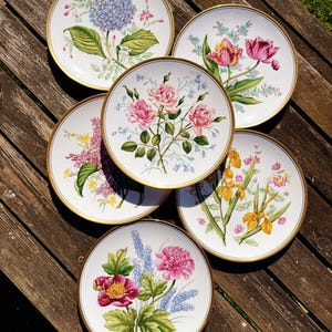 spodeアンティークブロカント花柄フラワーモチーフ花リムミニボウル2枚セット Spode Garden Flowers Collectors Plate ~ Fine Bone China ~ 9 1/2