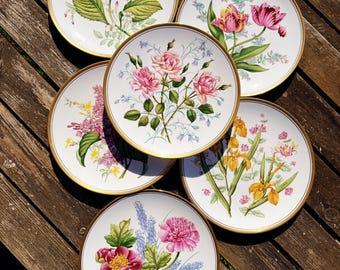 Spode Garden Flowers Collectors Plate ~ Fine Bone China ~ 9 1/2" ~ 24cm