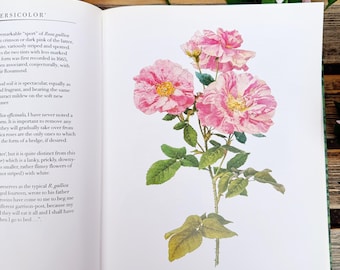A garden of roses Watercolours 1987 First Edition Hardcover-Vintage Books, Journal Junk, Roses Collection