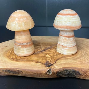 Pork Stone Mushroom