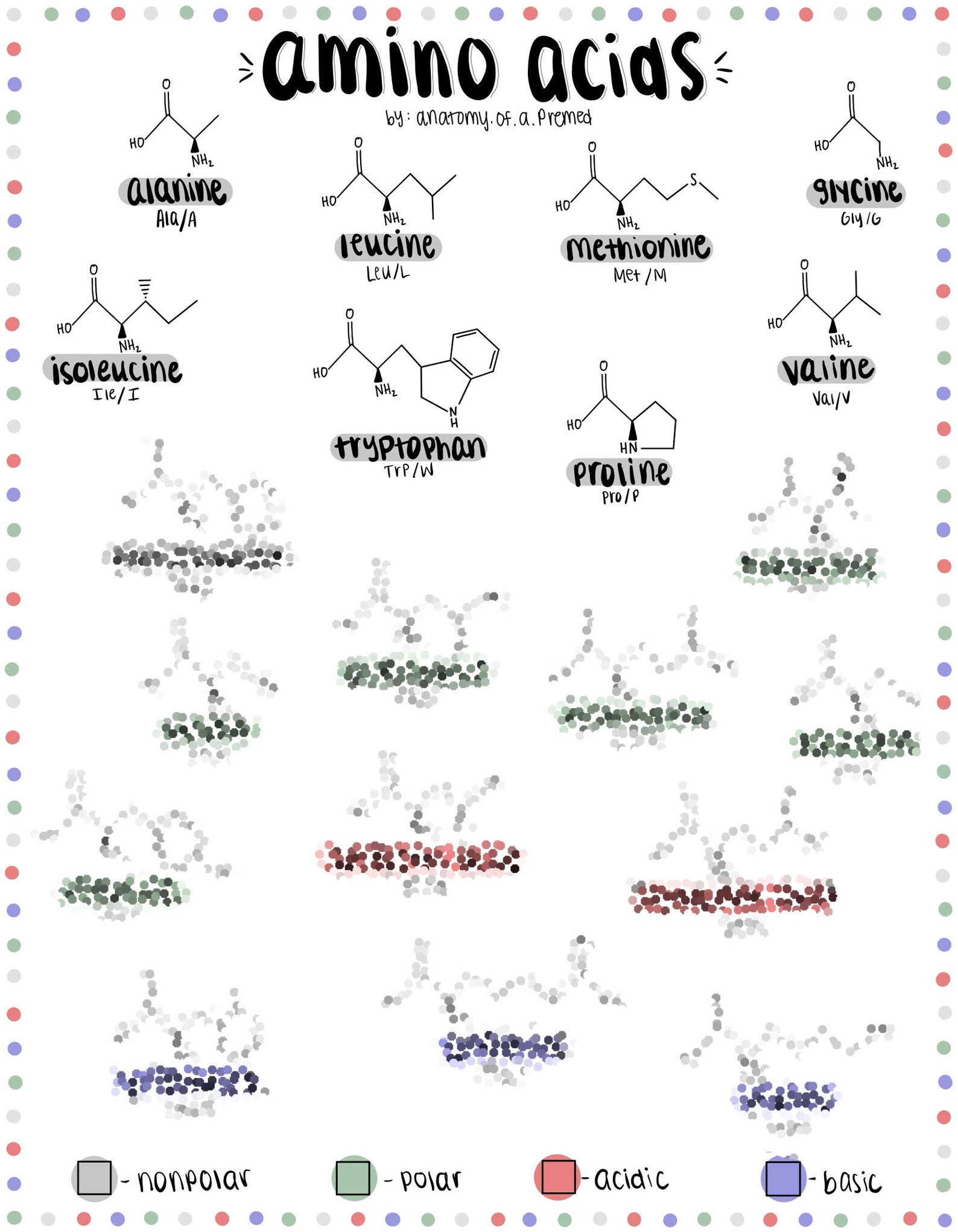 MCAT Biochemistry Bundle: Dark Colors - Etsy