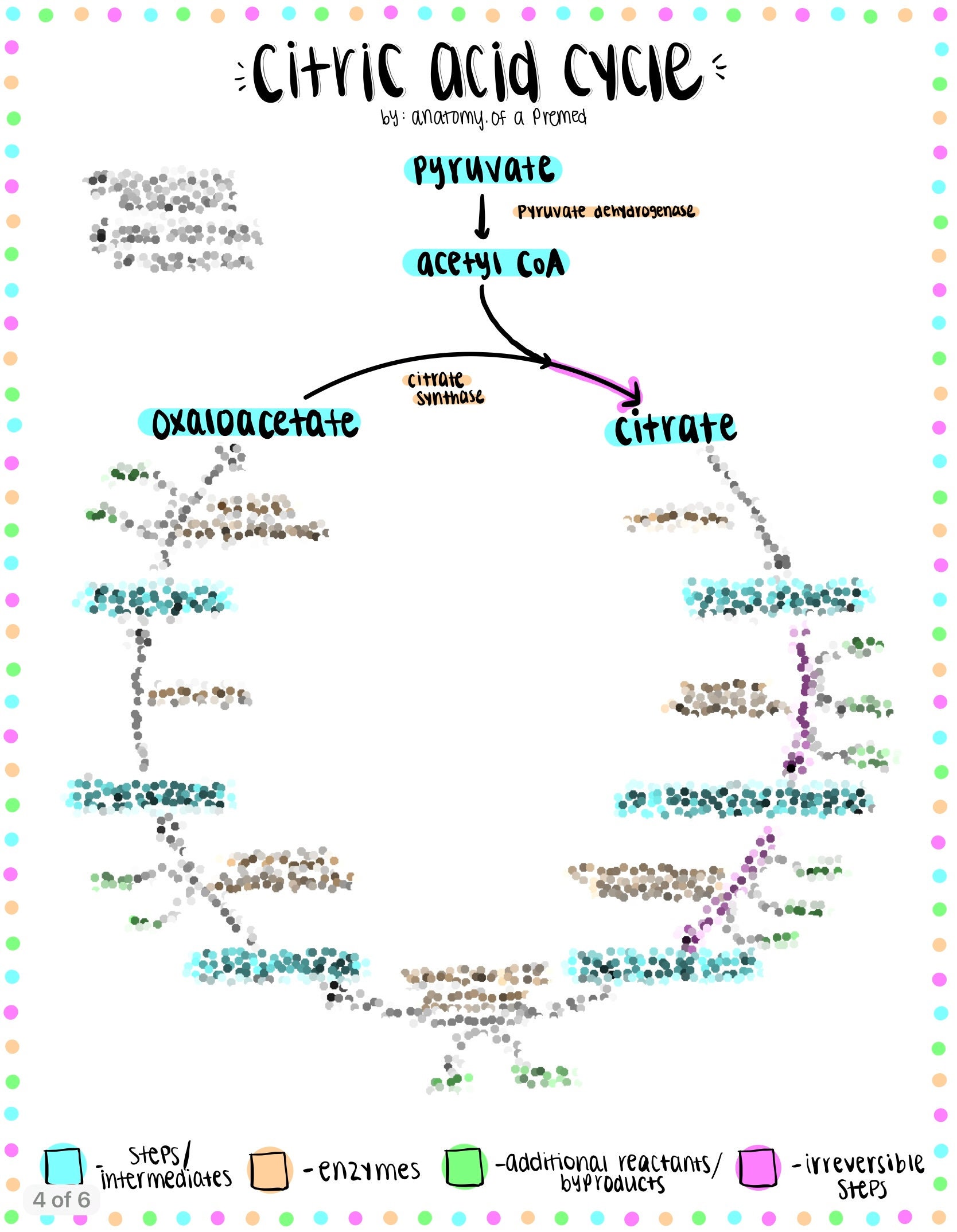 MCAT Biochemistry Bundle: Light Colors - Etsy