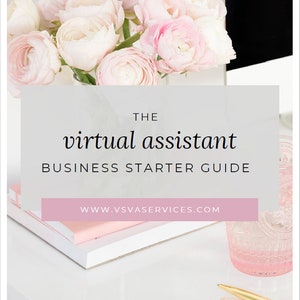 Virtual Assistant Business Starter Guide