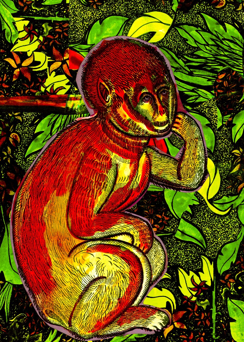 K&ouml;nnte beinhalten: Ein roter und gelber Affe mit nachdenklichem Ausdruck sitzt in einer Dschungelkulisse mit gr&uuml;nen Bl&auml;ttern und Blumen.