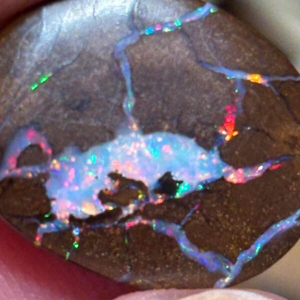 One of a kind boulder opal from Australia (Queensland) with insane and intense play of color 10.5 carats 17 mm x 14 mm x 4 mm