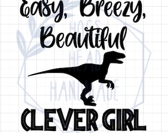 Easy, Breezy, Beautiful Clever girl Iron on
