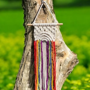 May include: A handmade macrame wall hanging with a rainbow design. The top section is a woven beige color, with a wooden dowel for hanging. Below, colorful strands of red, orange, yellow, green, purple, and white hang down. The artwork is displayed on a tree trunk.