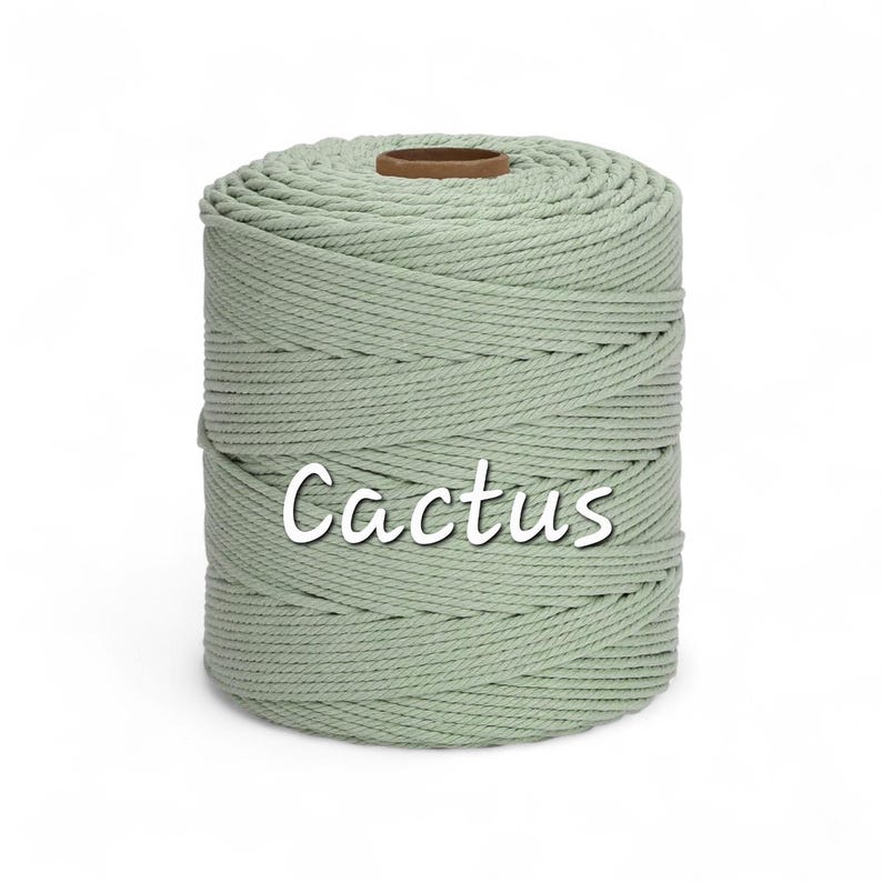 May include: A cylindrical spool of light green macrame cord. The word "Cactus" is written across the front of the spool in a white, cursive font. The cord is tightly wound, and the spool has a brown cardboard core.