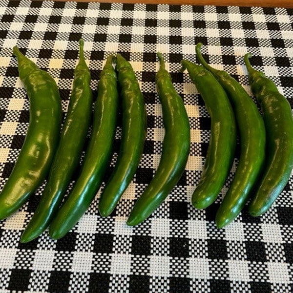 Korean Cucumber Pepper Etsy