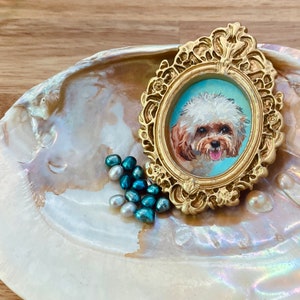 May include: A gold-framed portrait of a white and brown dog with a blue background, sitting on a mother-of-pearl shell with teal and white pearls.