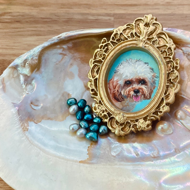 May include: A gold-framed portrait of a white and brown dog with a blue background, sitting on a mother-of-pearl shell with teal and white pearls.