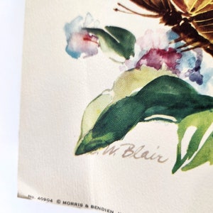 Zebra Swallowtail Admiral Butterflies Blair Lithograph Art Print Morris