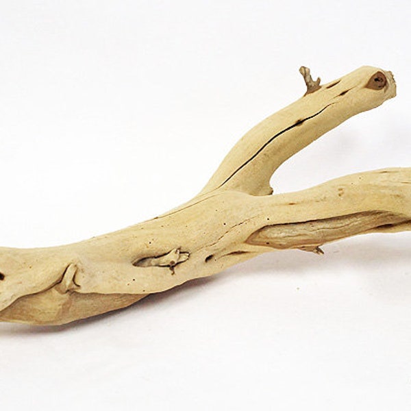Driftwood Etsy
