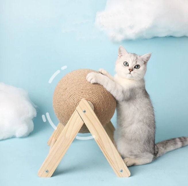 Boule à Gratter Résistante Pour Chats et Chatons